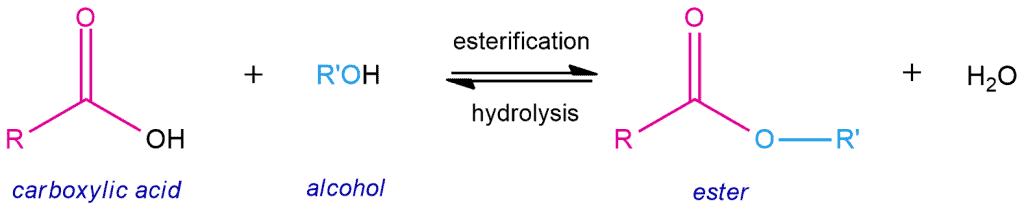 Structural reaction scheme for Esterification, diagram 1 of 4
