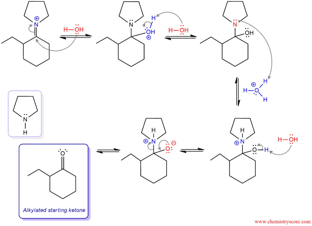 Structural scheme for Stork Enamine Reaction, diagram 4 of 4